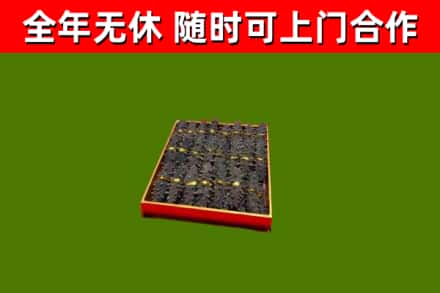 怒江回收海参